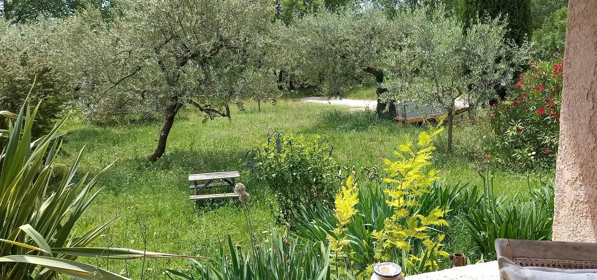 Villa Conviviale Au Soleil Avec Piscine Seillans Holiday home