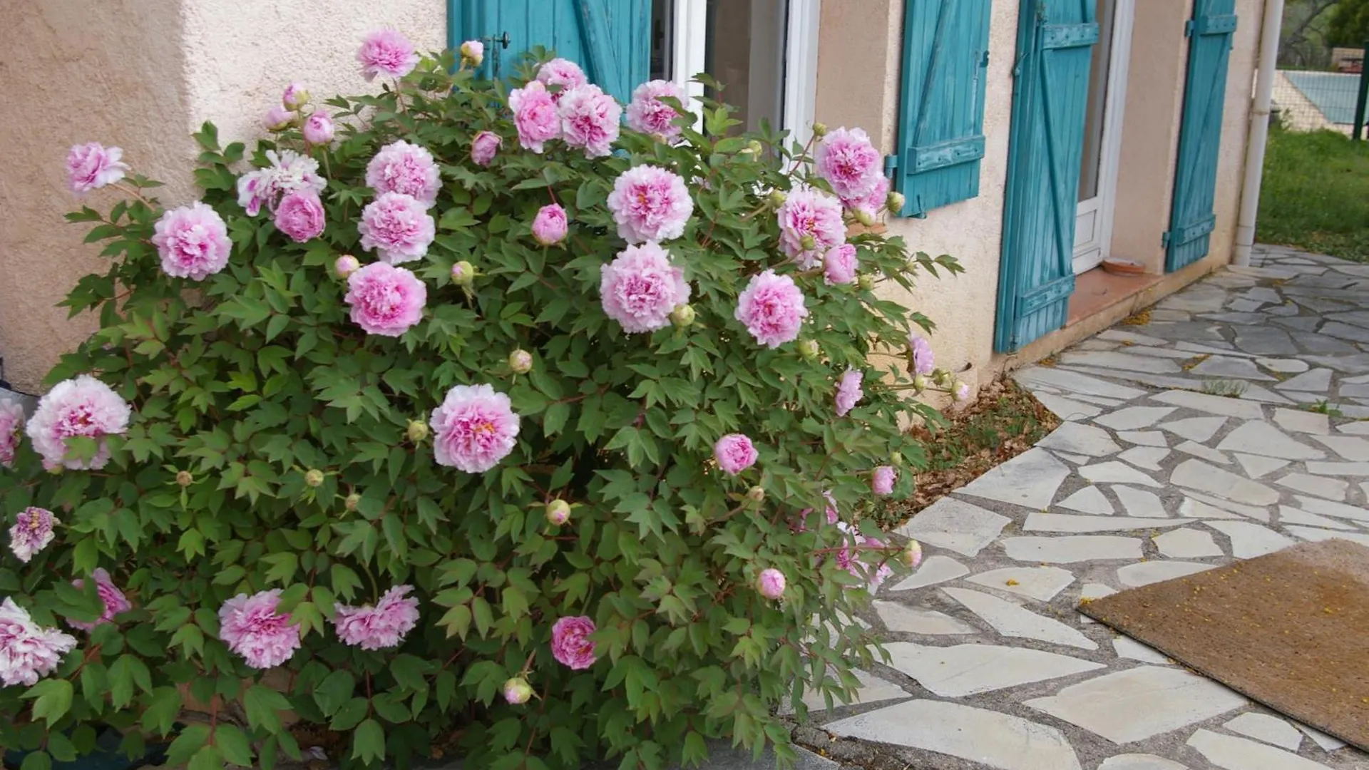 Villa Conviviale Au Soleil Avec Piscine Seillans Holiday home