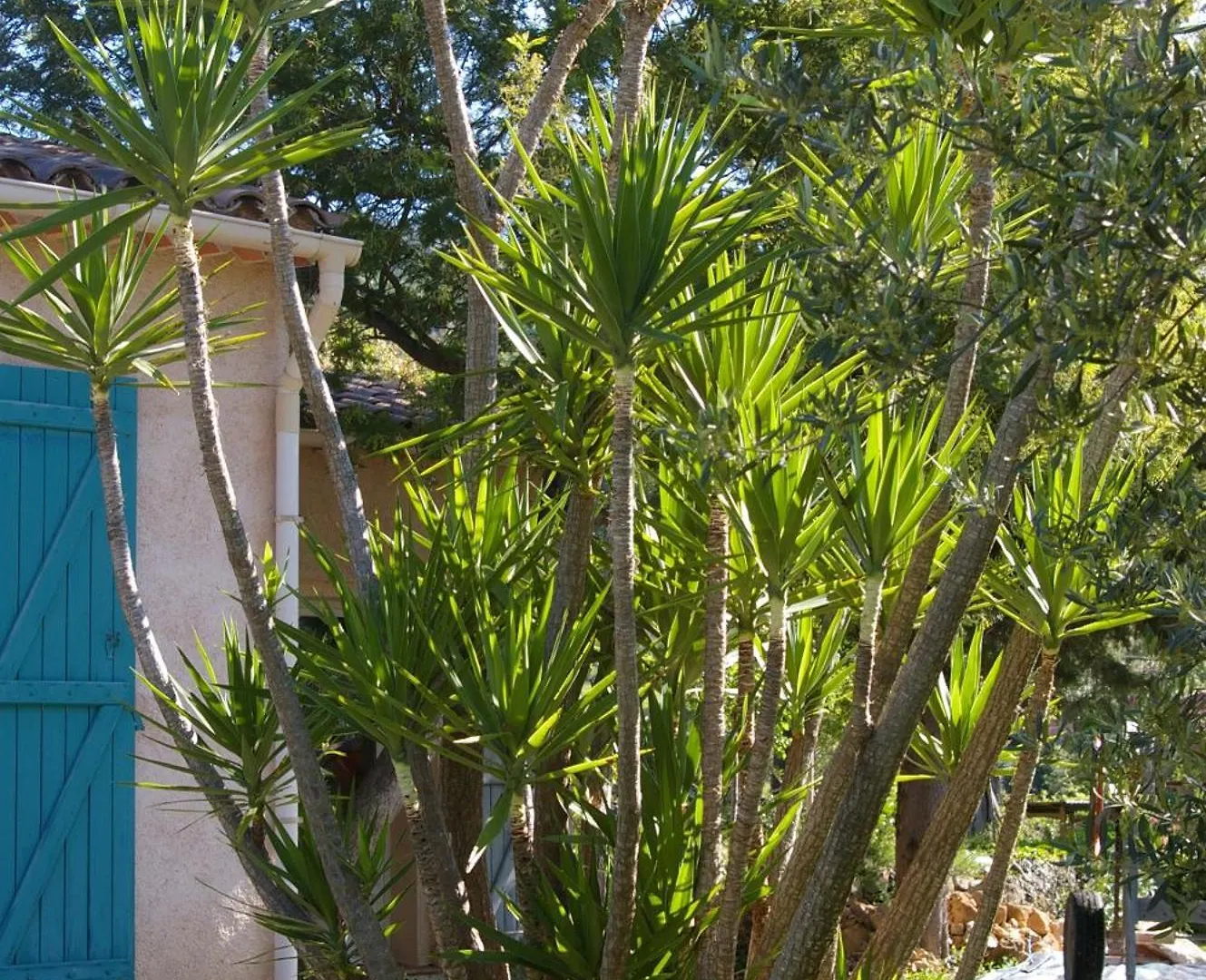 Villa Conviviale Au Soleil Avec Piscine Seillans